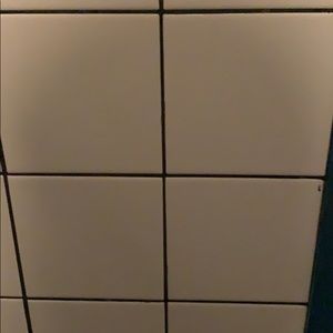 Meet your Posher, Anne